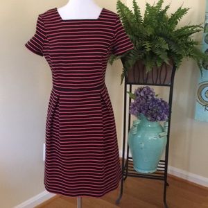 Stunning Talbots petite pink and black knit dress